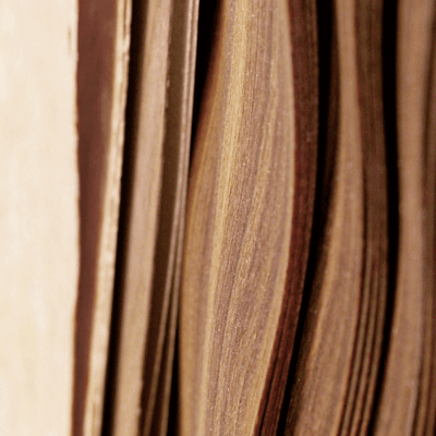 Dynaudio_veneers